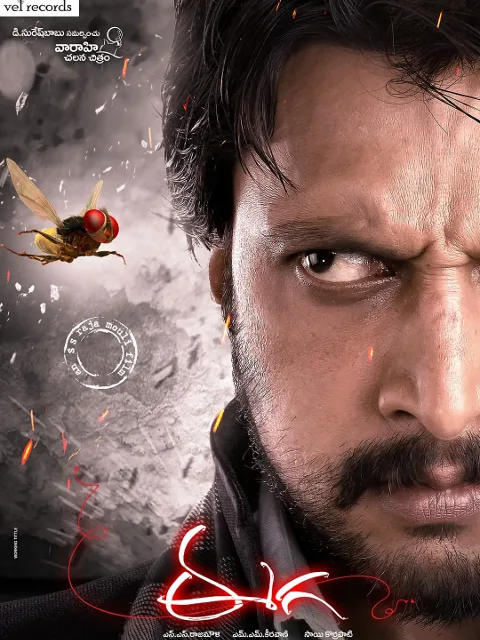 功夫小蝇