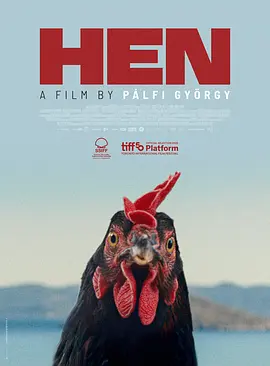 母鸡2025