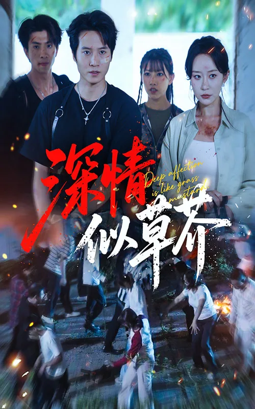 深情似草芥