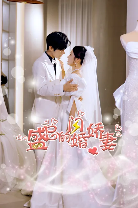 盛总的闪婚娇妻