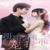 哥哥,乖乖宠我